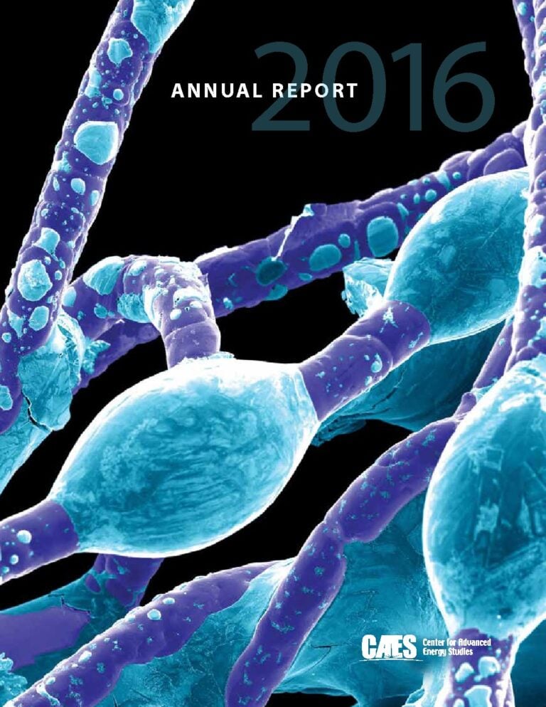 cover of CAES 2016 annual report