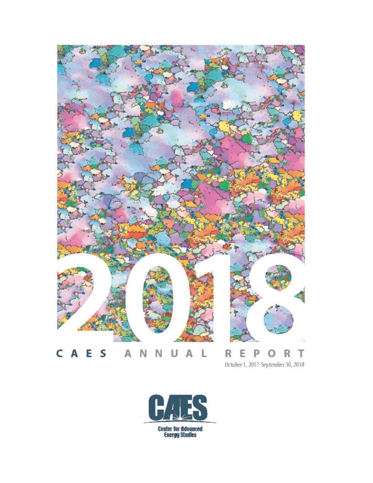 cover of the 2019 caes annual report