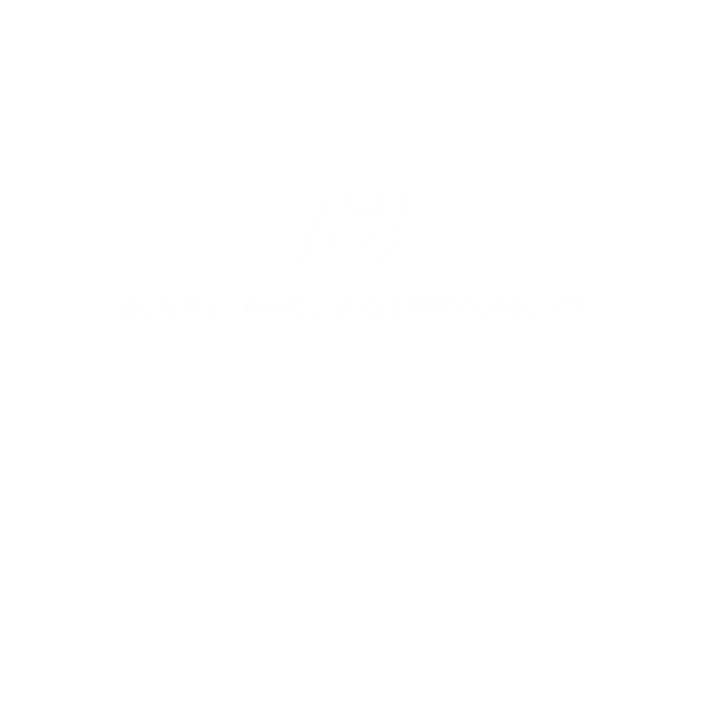 BSU CAES Technical Assistance Program