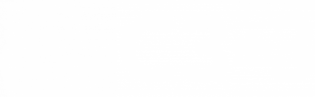 C3+3 Logo in White